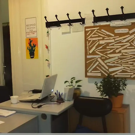 Romzsa Todor Kollegium Hostel *