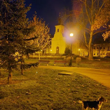Hostel Romzsa Todor Kollegium *