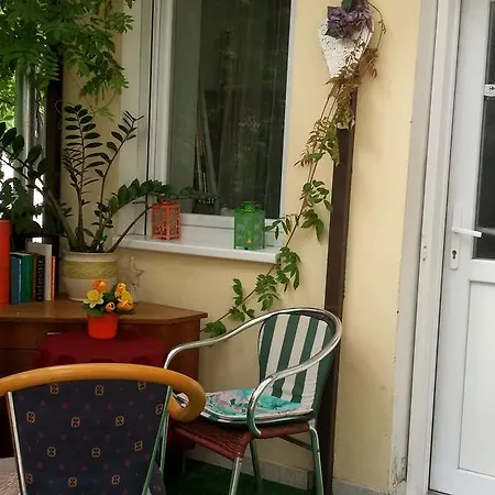 Romzsa Todor Kollegium