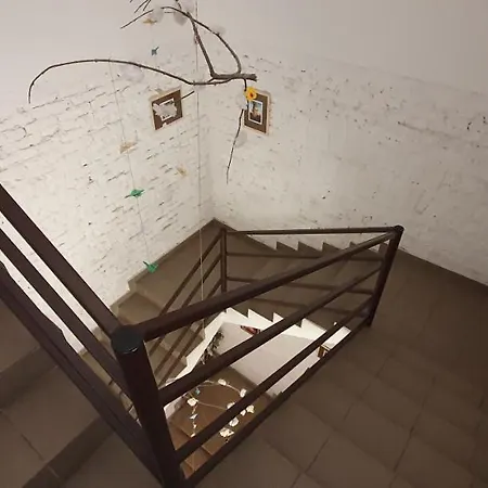 Romzsa Tódor Kollégium Hostel